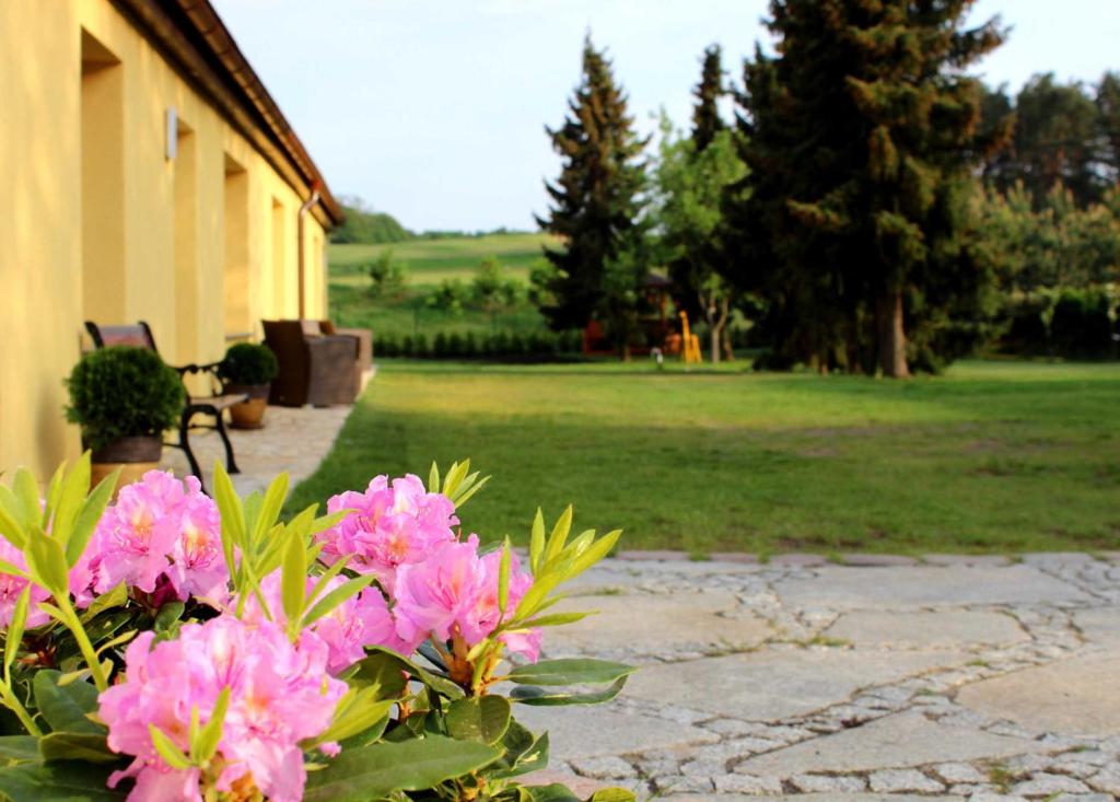 En have udenfor Feriendomizile Korswandt