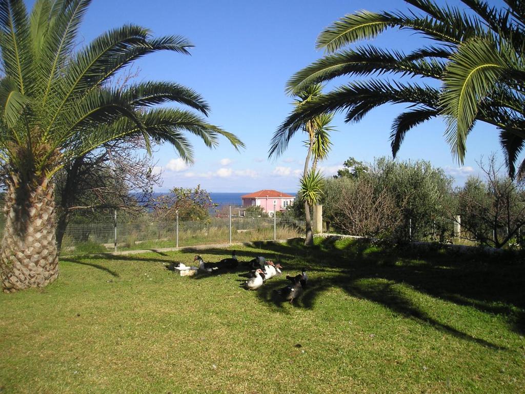 Zahrada ubytování Nikolaos Studios Skala