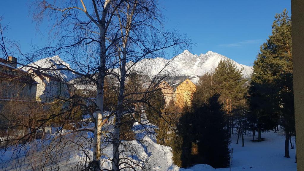 Táj az apartman közelében