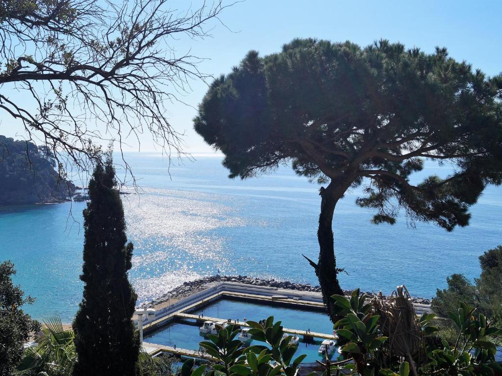 Mango, Lloret de Mar – Bijgewerkte prijzen 2022