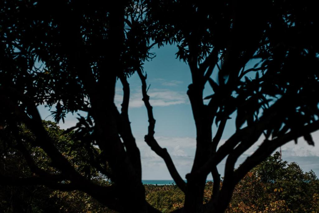  Sitio Peixe do Mato