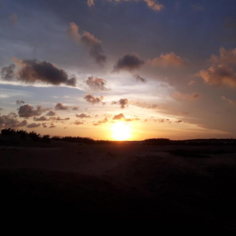  Golden Dunas