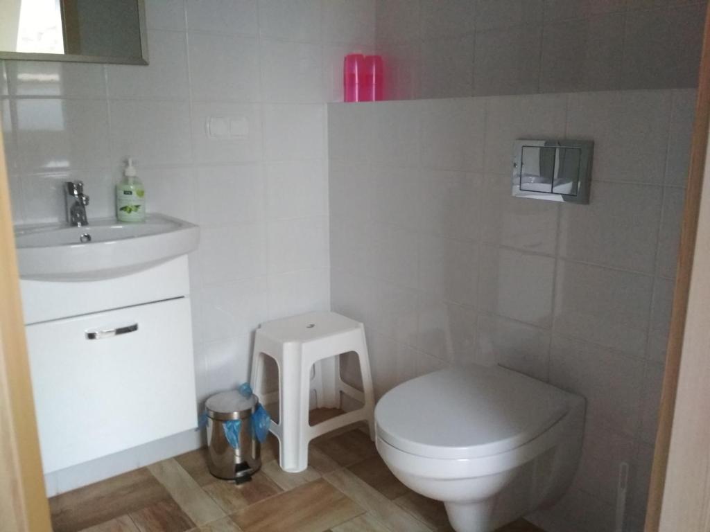 Kúpeľňa v ubytovaní Koci Grzbiet Agroturystyka