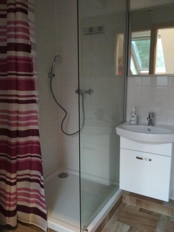 Kúpeľňa v ubytovaní Koci Grzbiet Agroturystyka