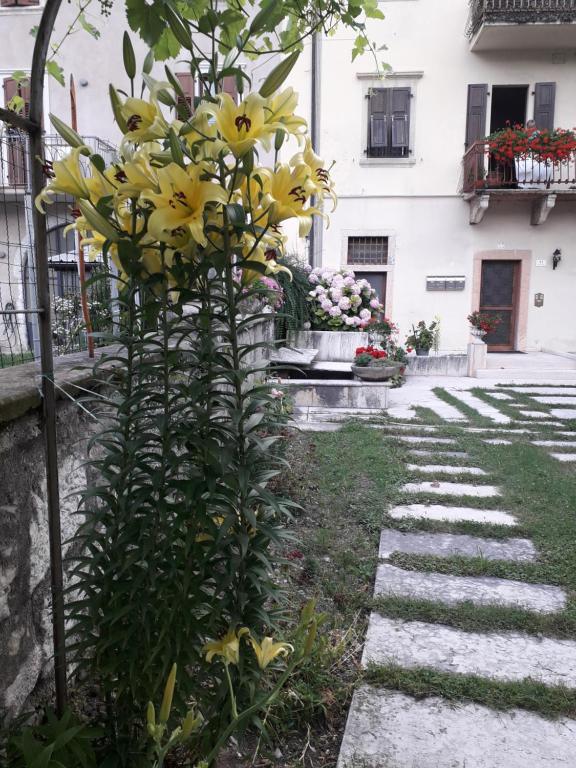 Zahrada ubytování Residence Gemma