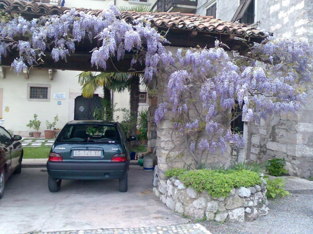 Zahrada ubytování Residence Gemma