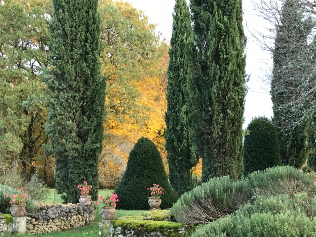 a garden with tall trees and flowers and bushes at Domaine de la Charmeraie in Saint-Cirq