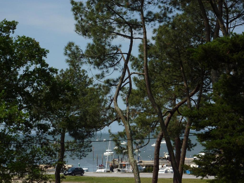 um grupo de árvores em um parque com um carro em Appartement 2 chambres Bassin d'Arcachon front de mer, plage du Betey em Andernos-les-Bains