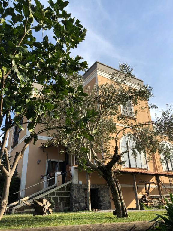 a building with a tree in front of it at Domus Agricolae Corallina in Torre del Greco