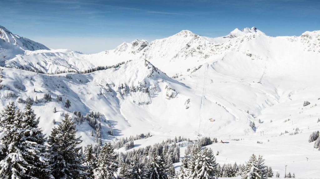 Bel appartement au centre de Champéry avec vue v zimě