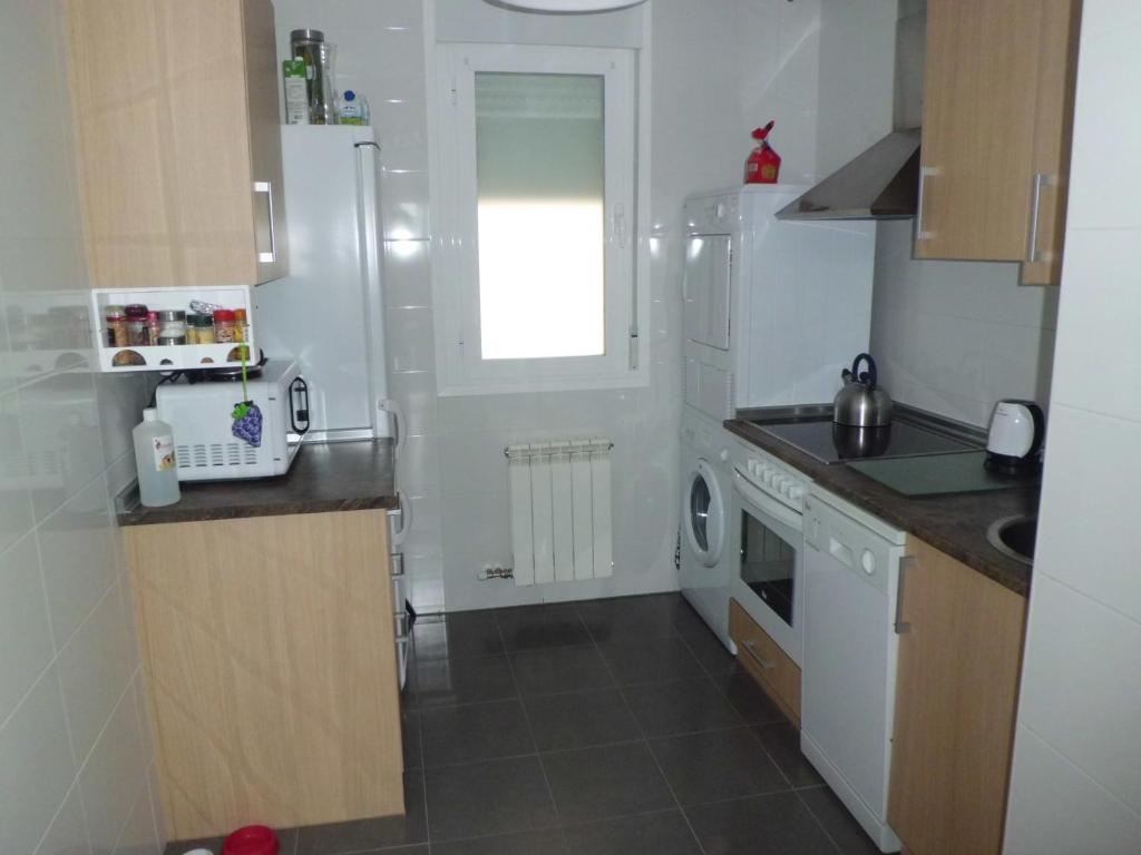 a small kitchen with a sink and a dishwasher at Apartamento Rio Lavilla in Castañares de Rioja
