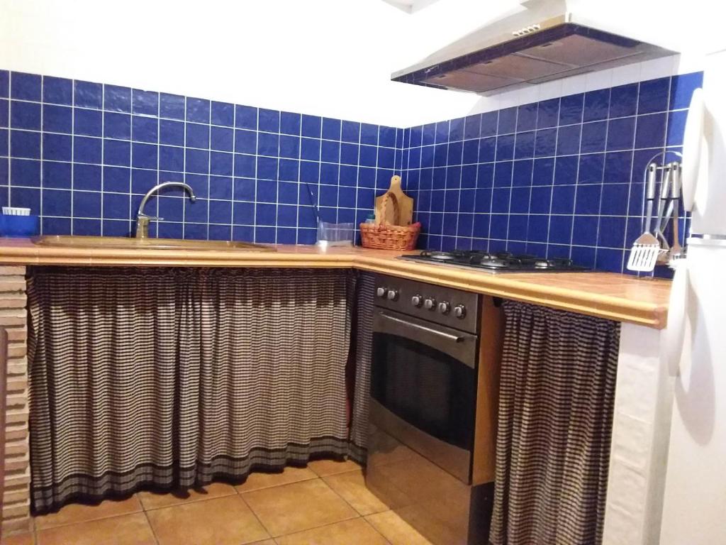 cocina de azulejos azules con fregadero y lavavajillas en Casa Cubel, en Aras de Olmos