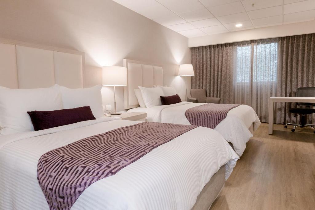 Antaris Galerias - Deluxe Double Room With Two Double Beds
