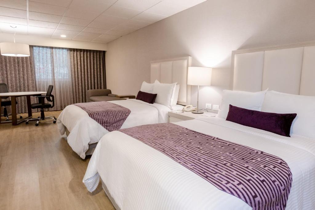 Antaris Galerias - Deluxe Junior Suite
