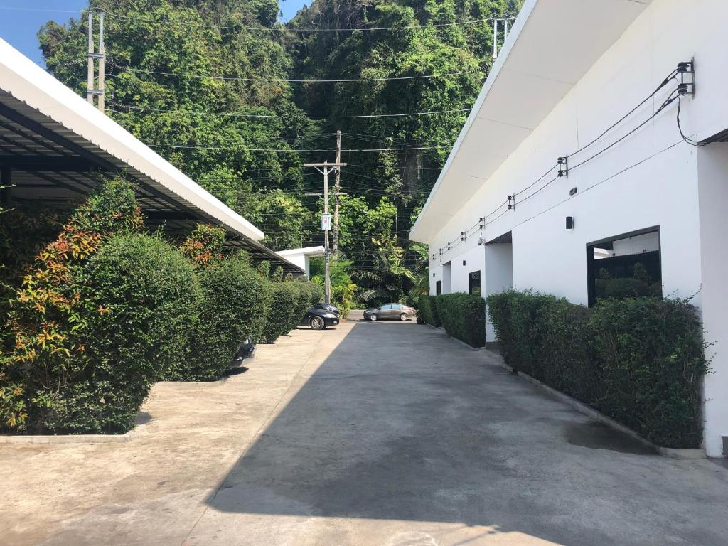 Pine Home - Resim 18