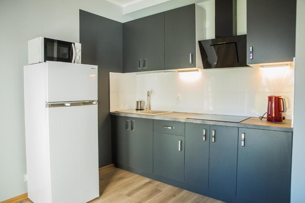 Kuchyňa alebo kuchynka v ubytovaní Family Homes - Apartamenty Sonoma
