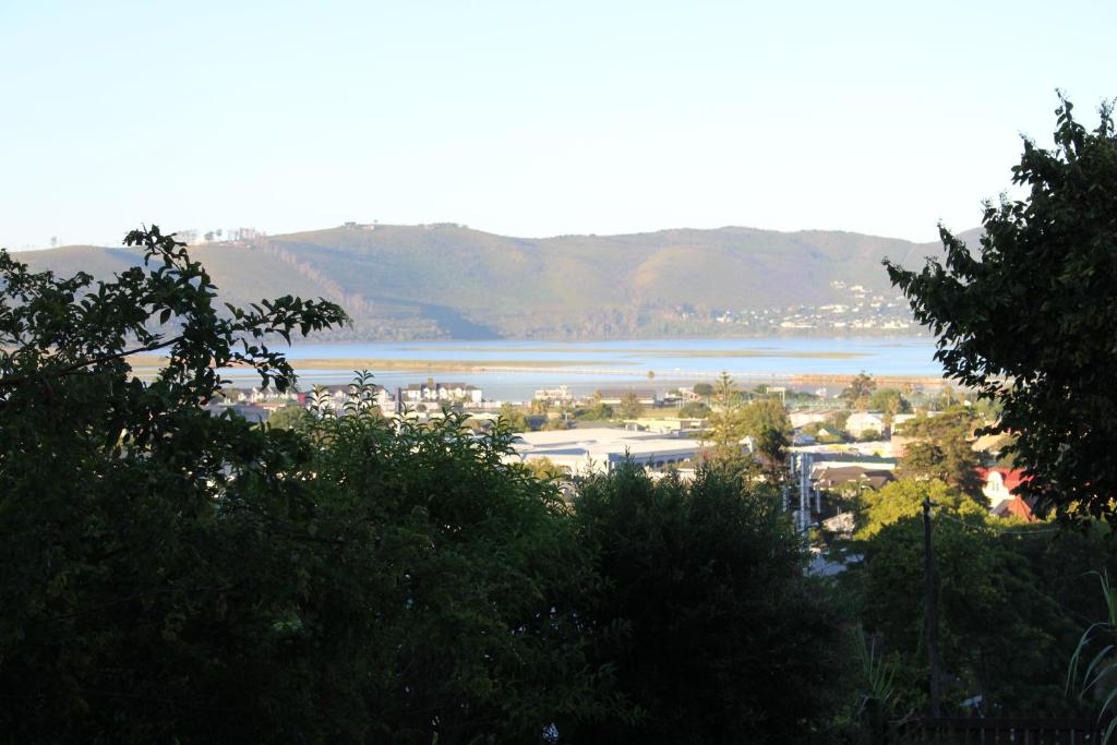 14 Mount Joy - Image 10