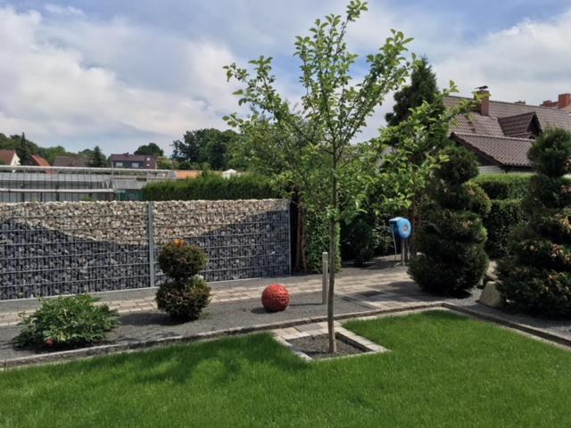 a garden with a tree and a ball in the grass at Pension zum Yachthafen in Waren