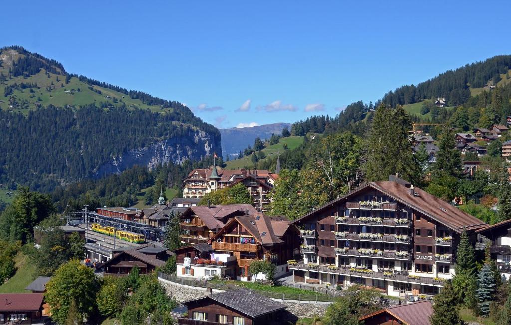 a town in the mountains with houses and trees at Hotel Maya Caprice in Wengen