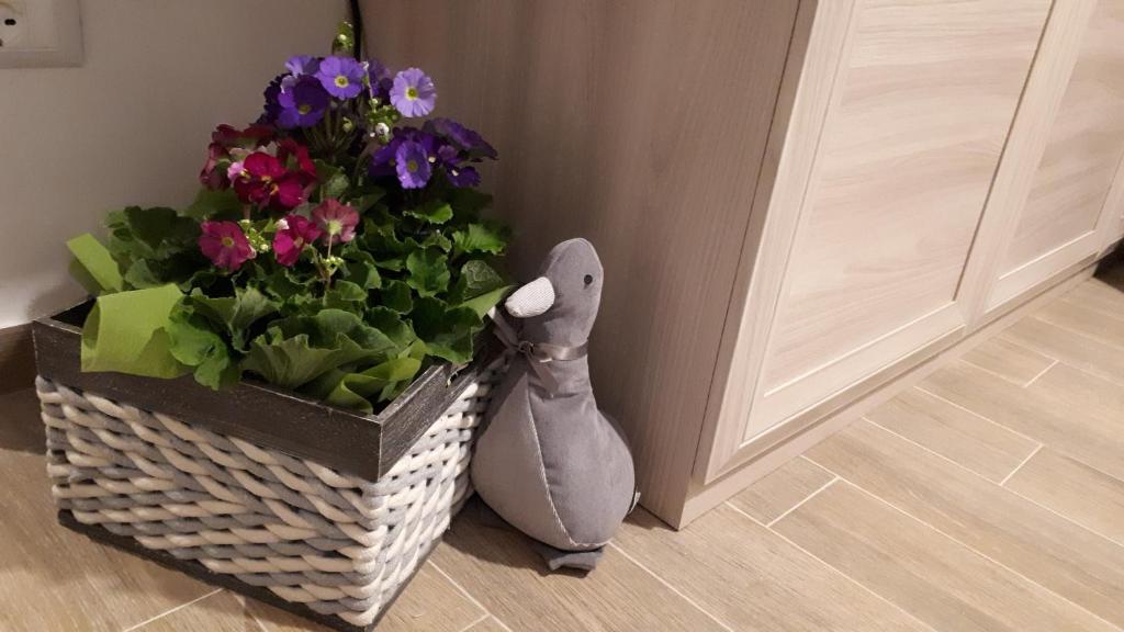 La Firenze Sogna - 7