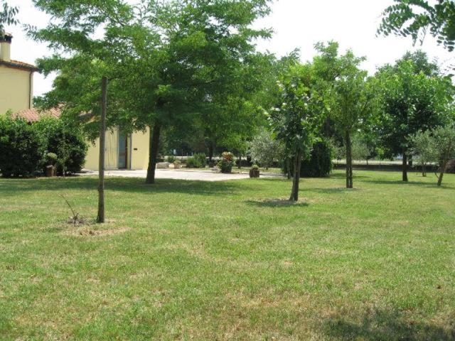 Zahrada ubytování Al Parco