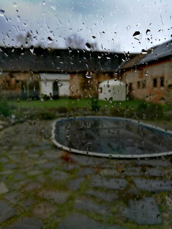 Fotografie z fotogalerie ubytování Statek "Two brooms", Apartment v destinaci Mírkovice