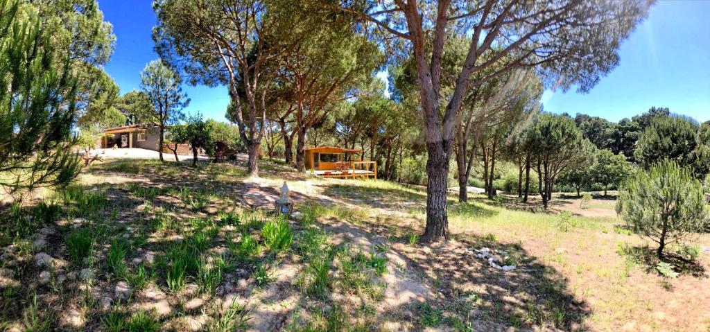 a house in the middle of a field with trees at Quinta do Meco - Beach & Nature in Aldeia do Meco