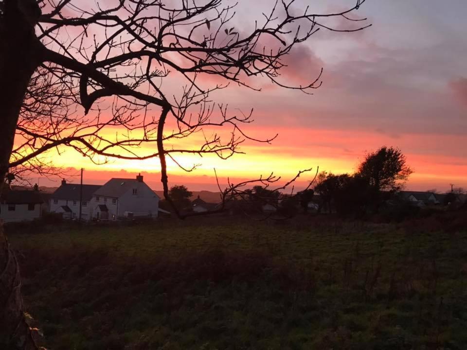 a sunset in a field with a tree in the foreground at King's Head Inn in Llangennith