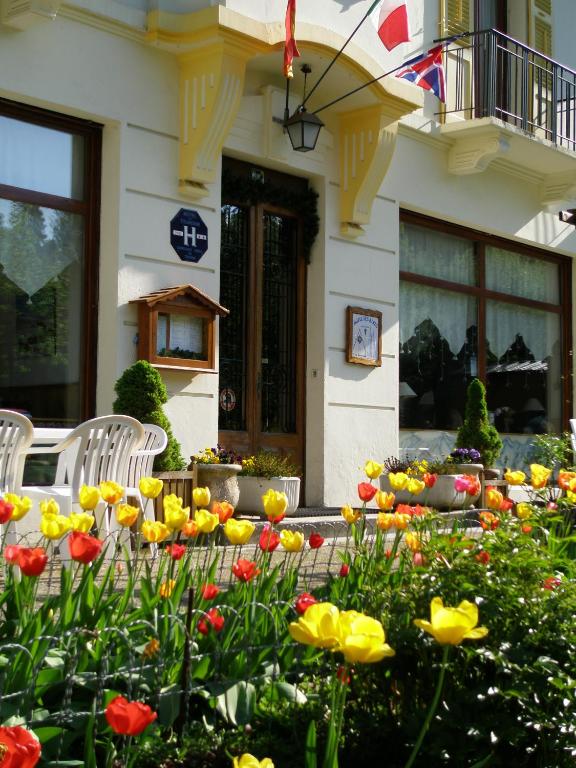 Zahrada ubytování Hotel des Alpes