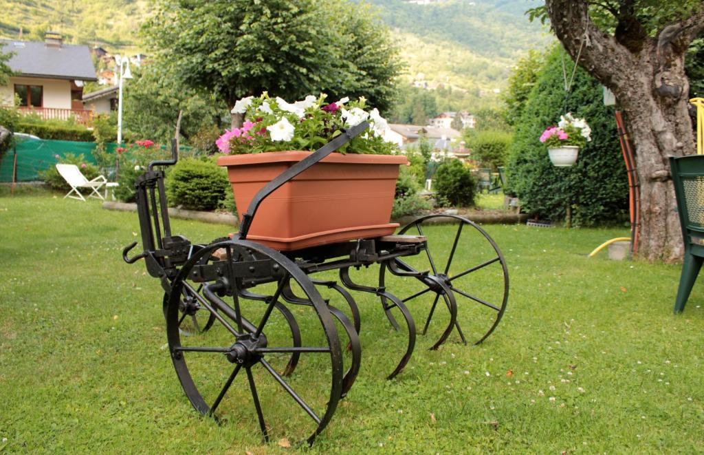 Zahrada ubytování Hotel des Alpes