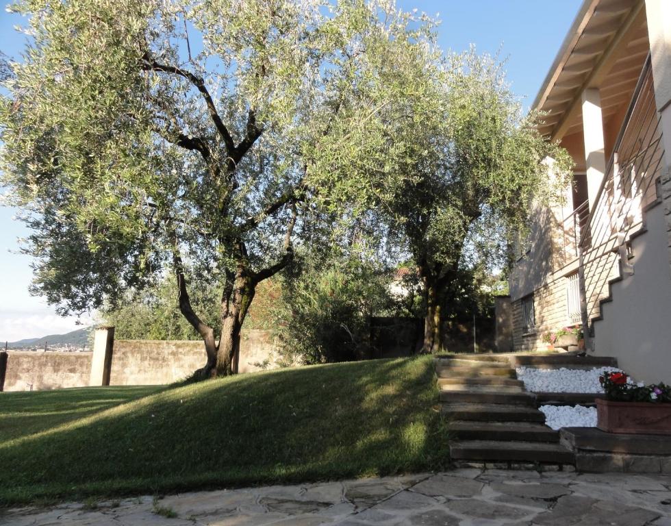 Zahrada ubytování Freddy Holiday House