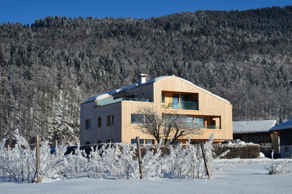 Výhľad na hory alebo výhľad na hory priamo z apartmánu