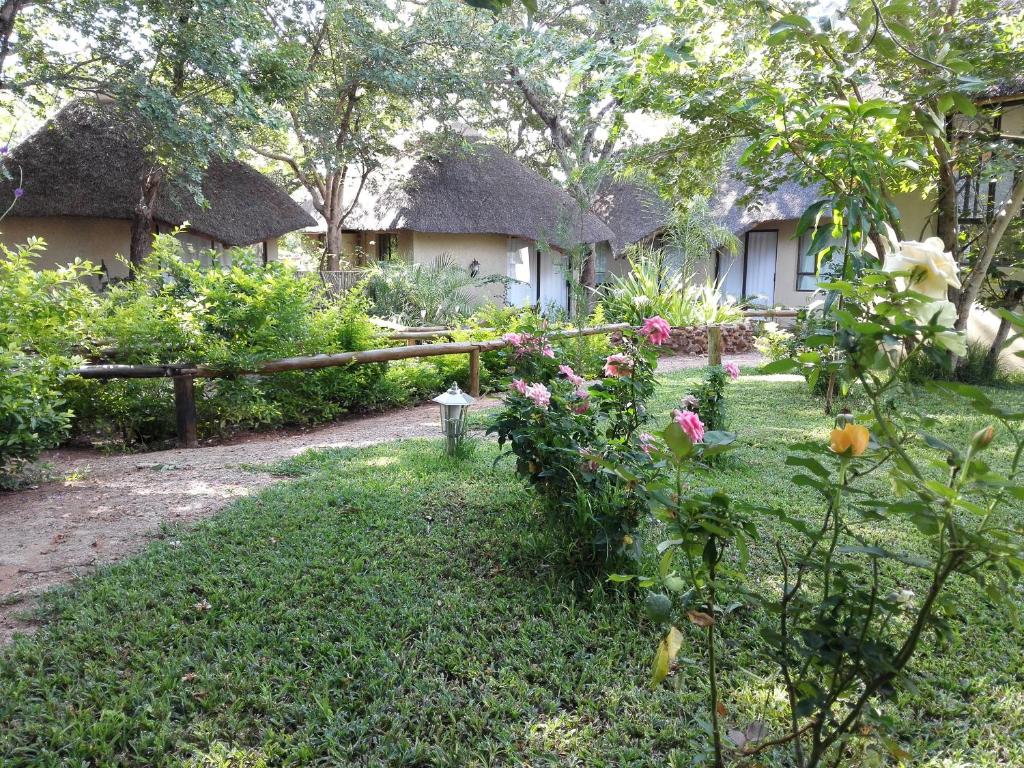 un jardin avec une rangée de maisons au toit de chaume dans l'établissement Chobe Sunset Chalets, à Lesoma