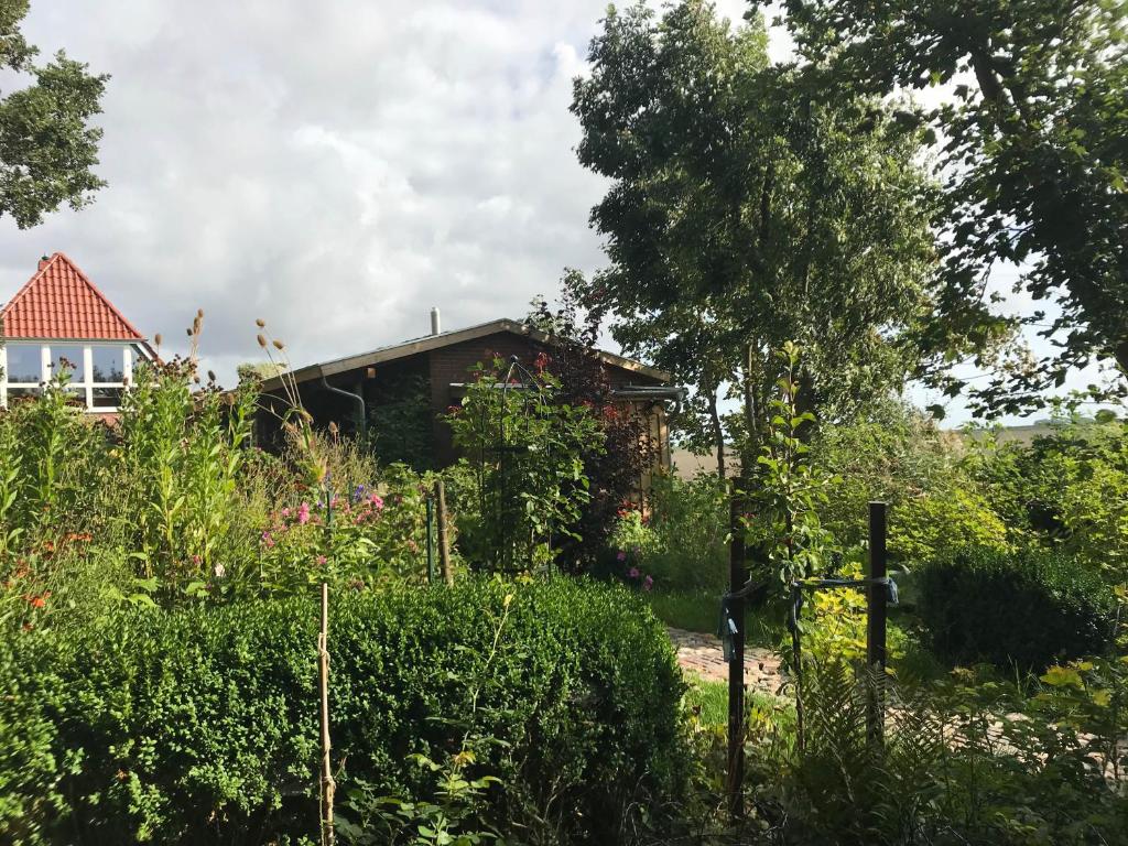 Taman di luar Gartenhaus Frieda