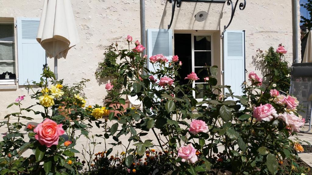 un montón de rosas delante de un edificio con un paraguas en Chambre d'hôte Montlivault / Chambord, en Montlivault