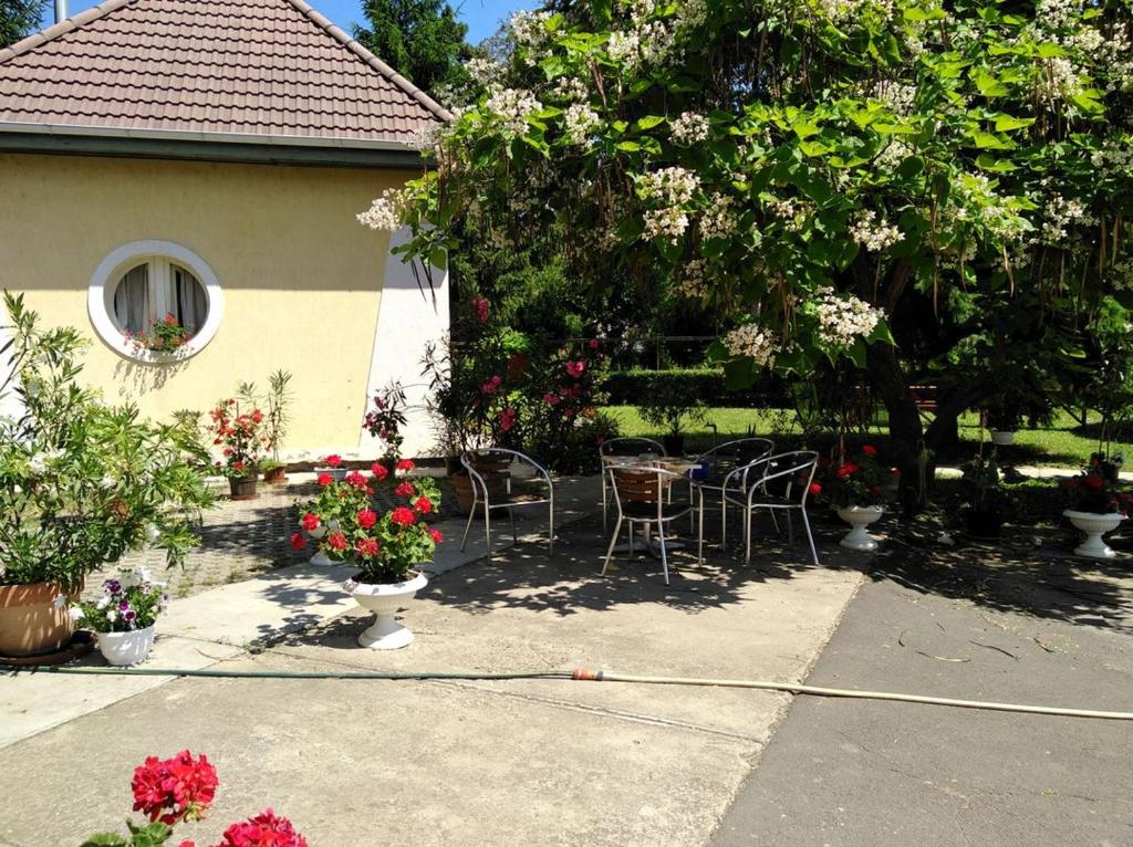 a patio with chairs and a table and a tree at Harang Panzió in Gyomaendrőd