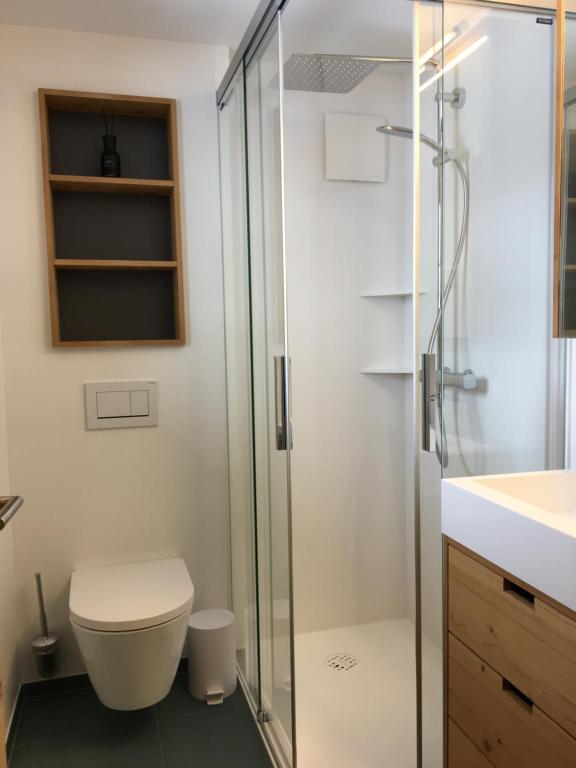 ベットマーアルプにあるChalet Foresta OGのバスルーム(トイレ、ガラス張りのシャワー付)