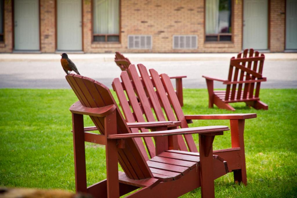three chairs sitting in the grass with birds on them at Rideau Heights Inn in Ottawa