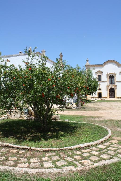 Zahrada ubytování Masseria Maccarone