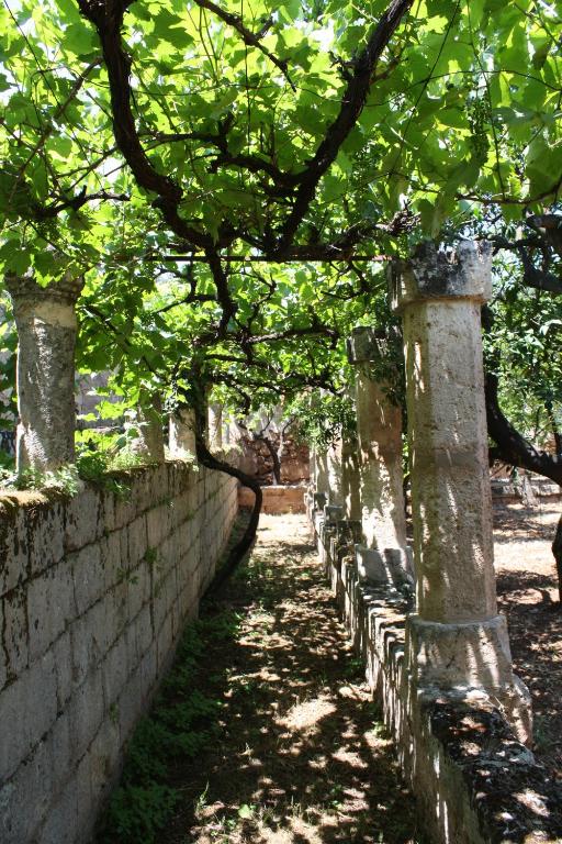 Zahrada ubytování Masseria Maccarone