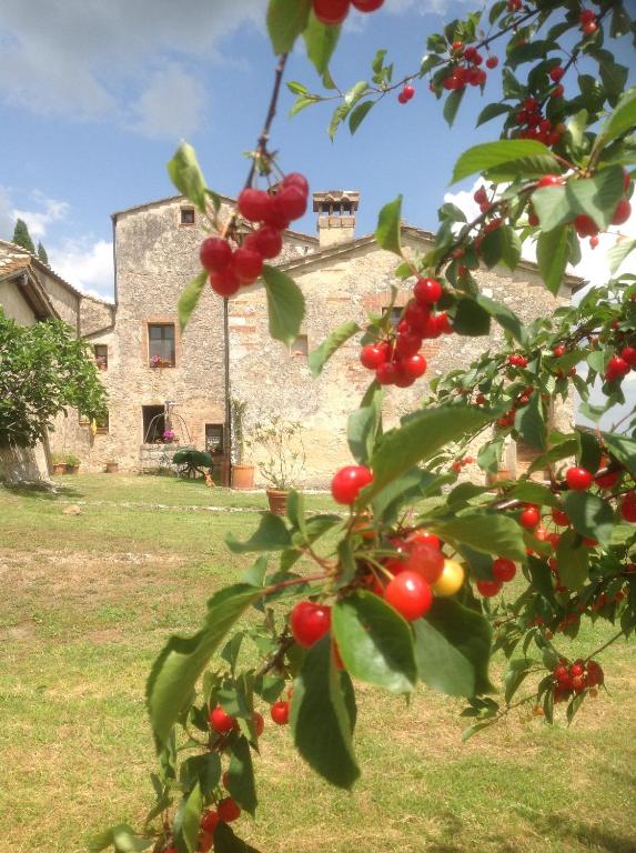 Zahrada ubytování La Canonica Di San Michele