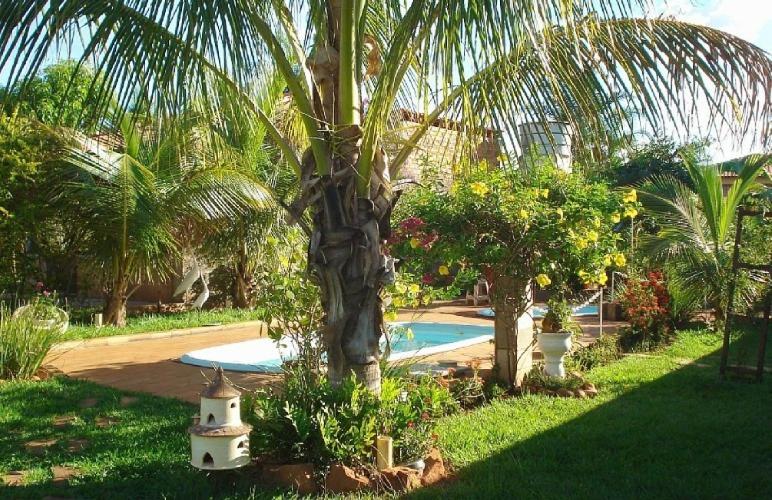 una palmera y una piscina en un patio en Pousada Recanto Lara, en Olímpia