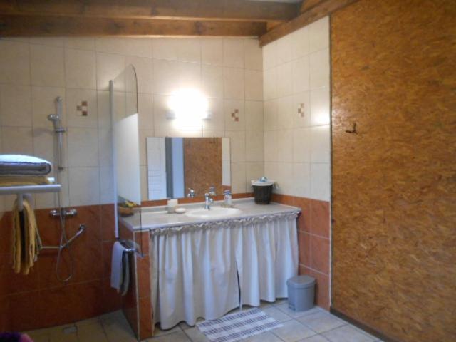 La salle de bains est pourvue d'un lavabo et d'un miroir. dans l'établissement L'ESTAGNON, à La Plaine des Cafres