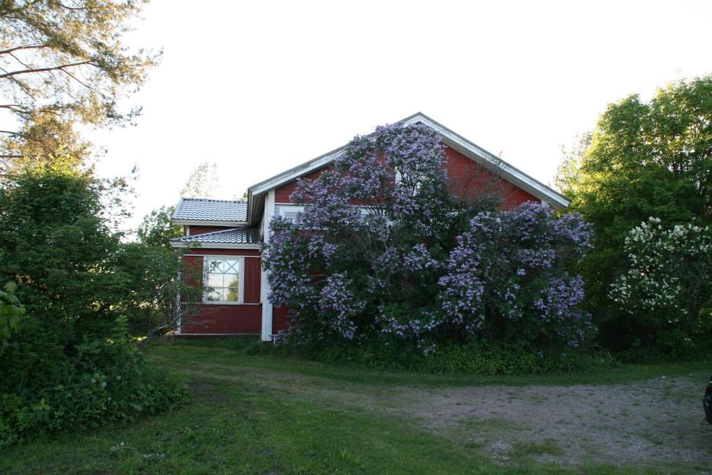 Zahrada ubytování Countryside house Villa Pauliina -lomatalo