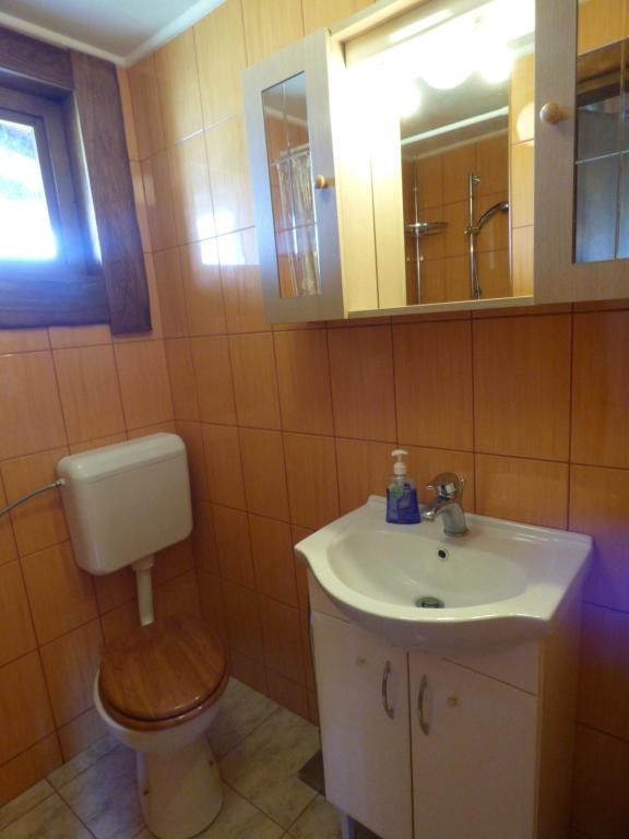 a bathroom with a toilet and a sink and a mirror at Cottage Plavi Lav Potok in Potok