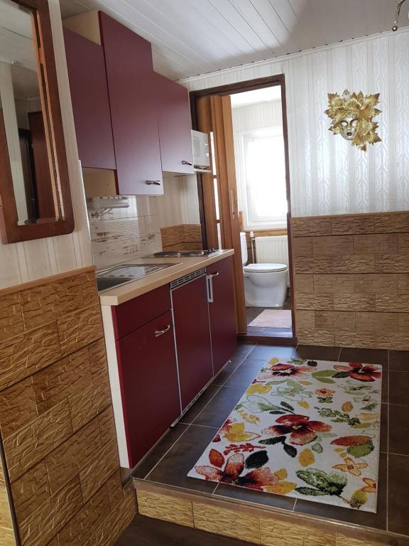 Kuchyňa alebo kuchynka v ubytovaní Alexandra Appartement
