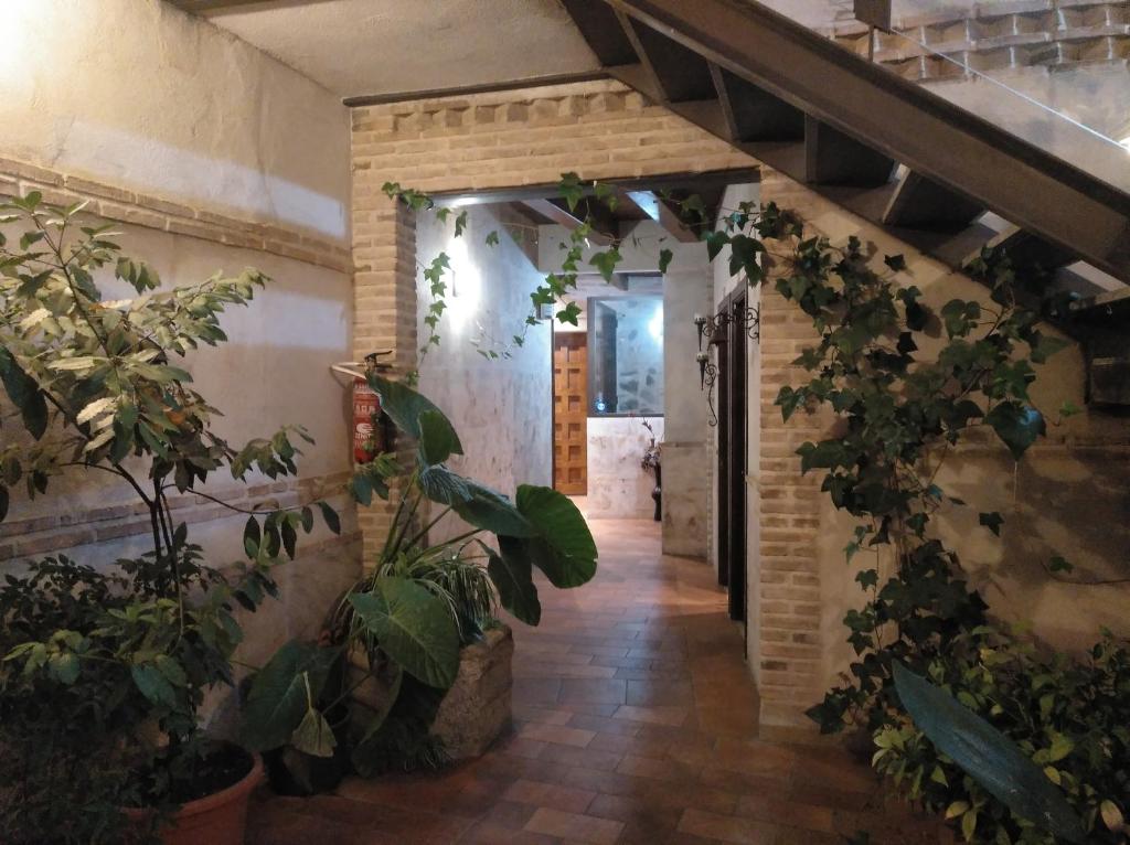 Apartamentos La Casa Del Grial - 17