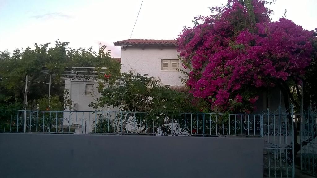 Vonkajšia záhrada v ubytovaní Villa Depy