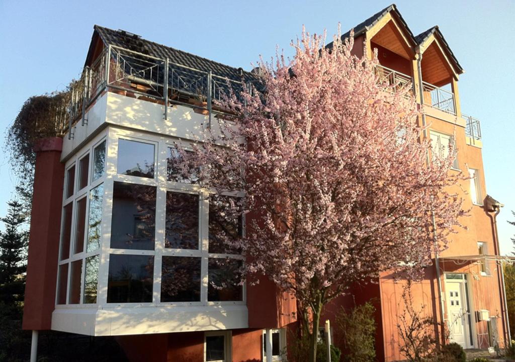 ein Gebäude mit einem Baum davor in der Unterkunft Gästehaus Kirschgarten in Bodenheim