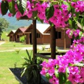 a bunch of pink flowers in front of a house at Chalés Alvorada in Praia Grande